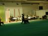 P1020050.jpg