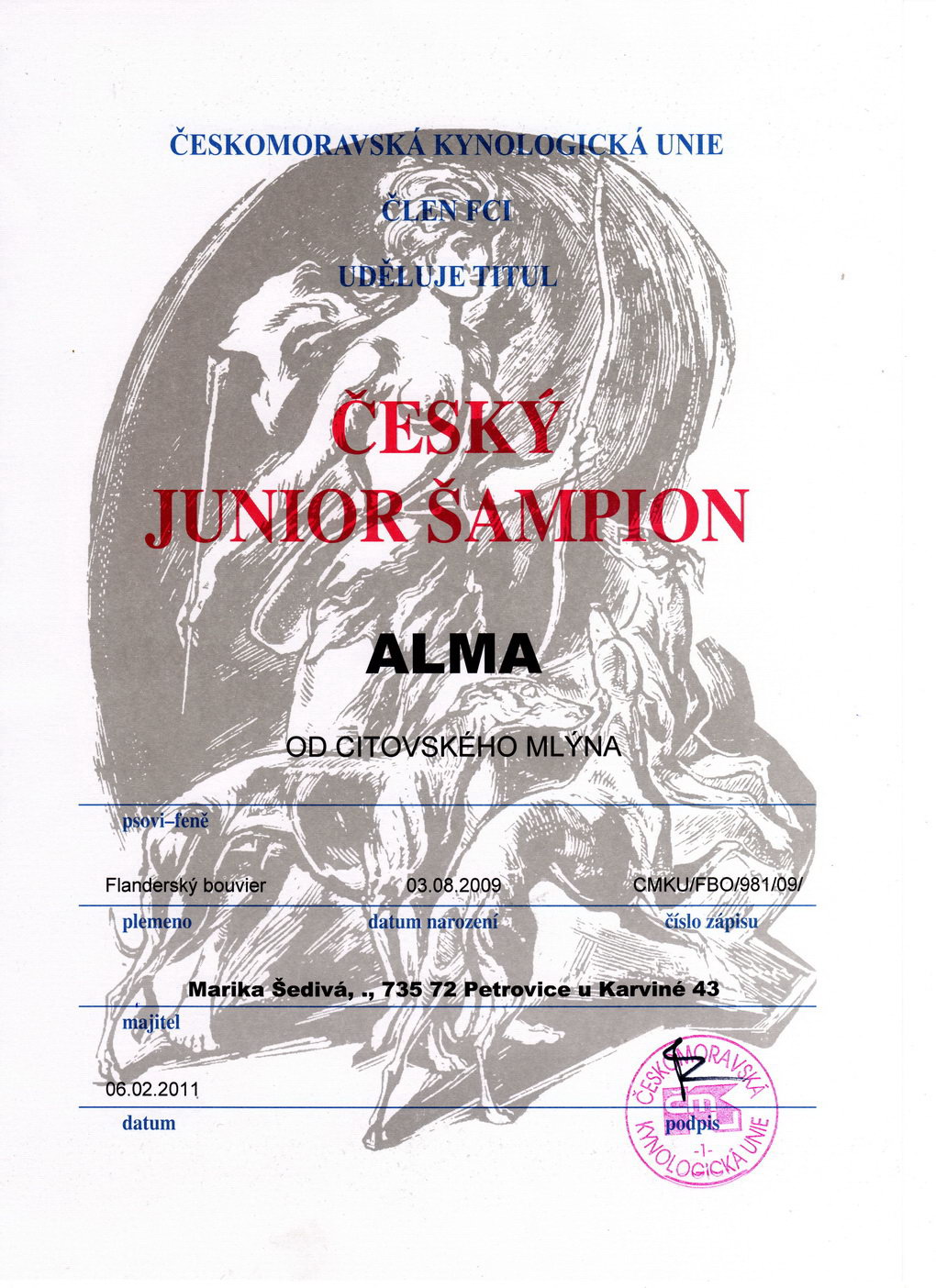 Titul Český junior šampion